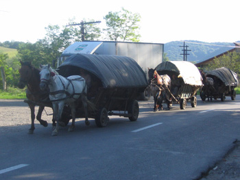 322 SIGHISOARA